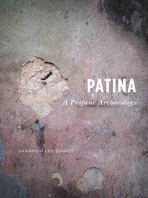 cover image of Patina